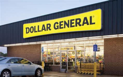 dg company|who owns the dollar store.